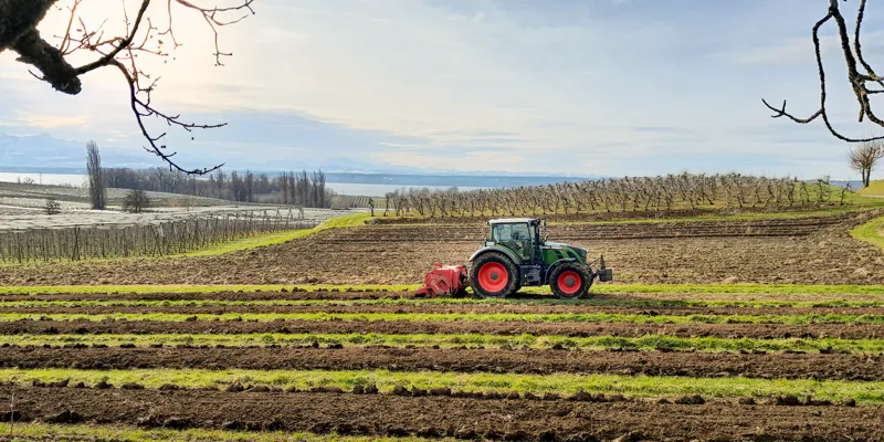 Traktor bearbeitet den Boden einer gerodeten Obstanlage