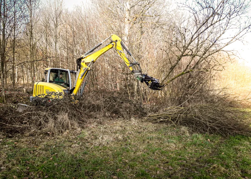 Bagger mit Astschere schneidet Gehölz am Waldrand