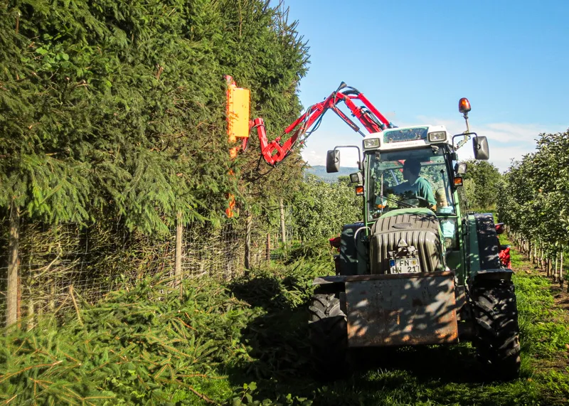 Wallheckenschere am Traktorausleger schneidet eine Hecke