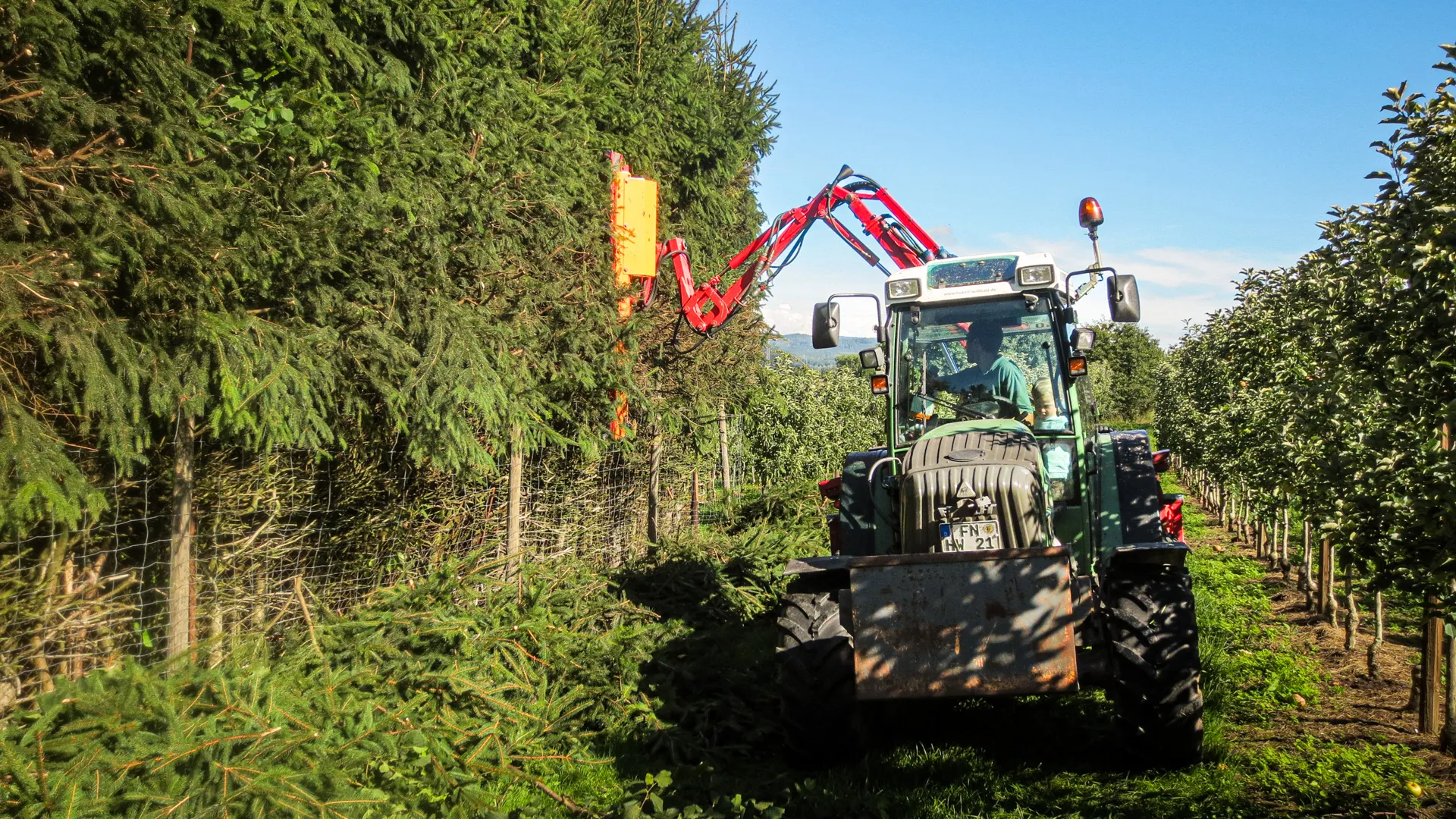 Traktor mit Auslegerschere bei der Gehölzpflege an einer Baumreihe