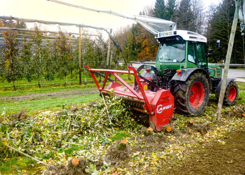 Traktor mit Mulcher zerkleinert Schnittgut in einer Obstanlage