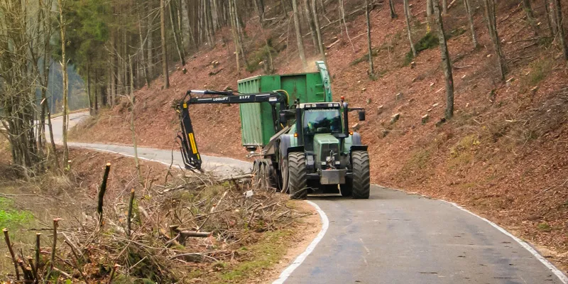 Traktor mit Hacker zerkleinert Straßenbegleitgrün an einer Waldstraße