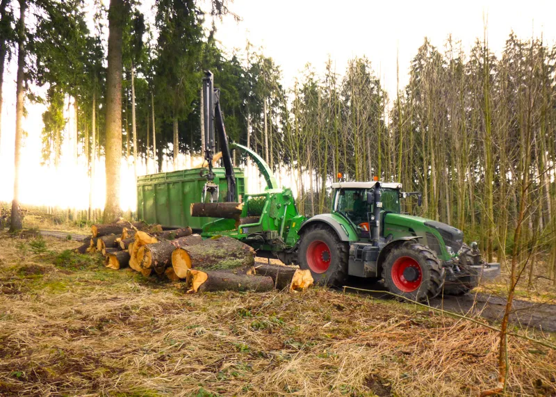 Traktor mit Holzhacker zerkleinert Stammholz am Waldrand