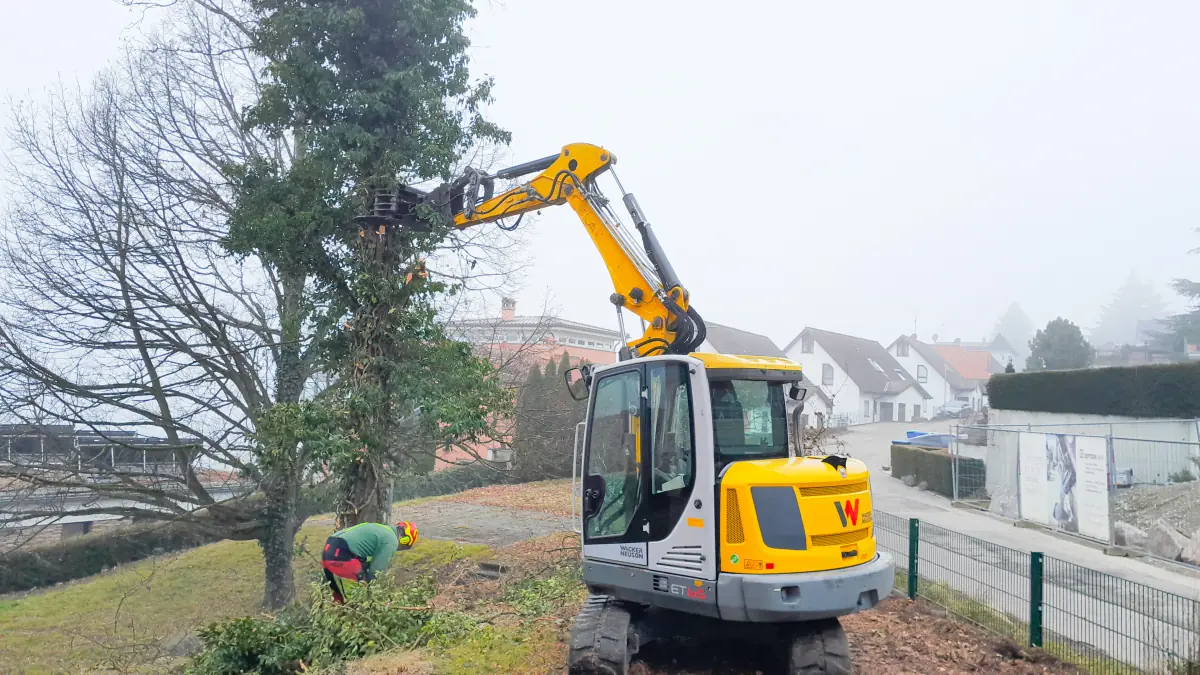 Bagger mit Fällgreifer bei der Baumfällung im Wohngebiet