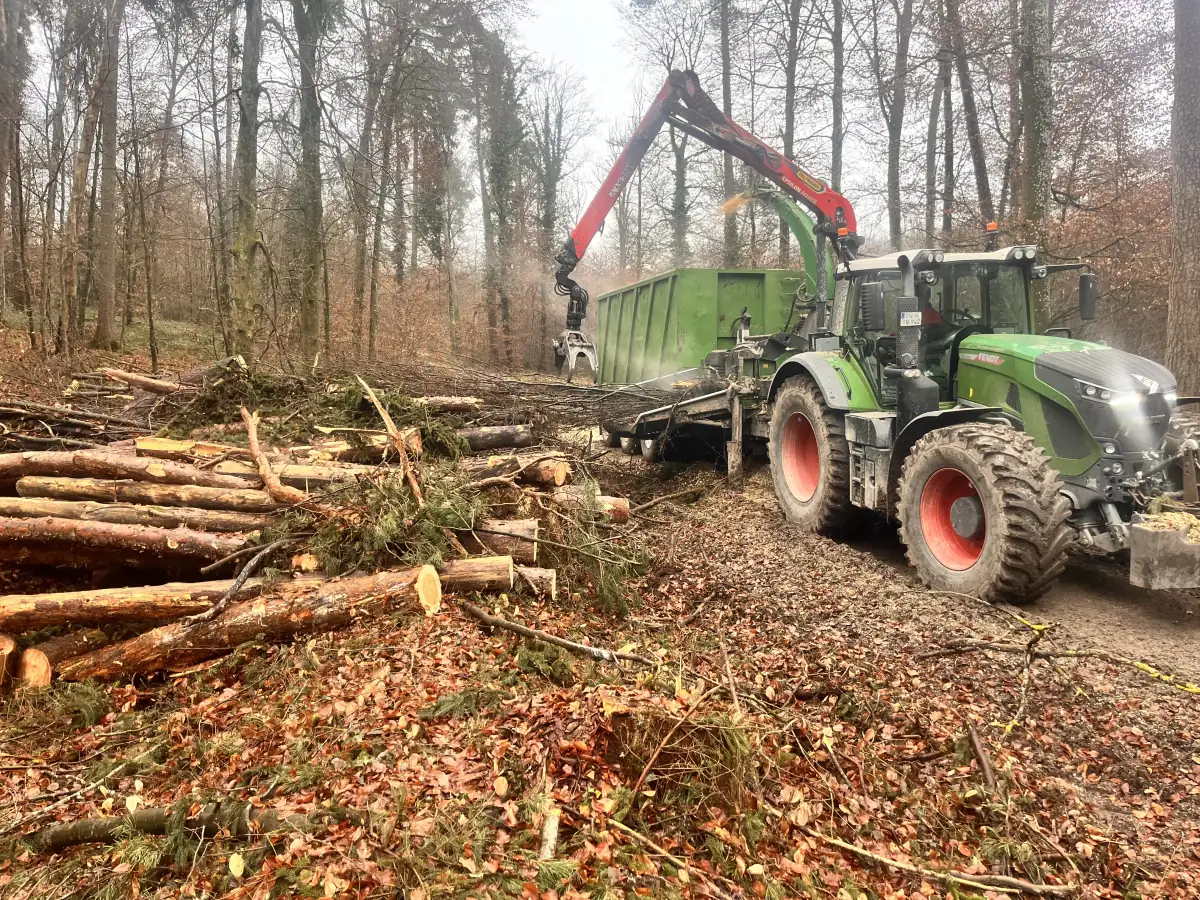 Traktor mit Kranhacker zerkleinert Restholz im Wald