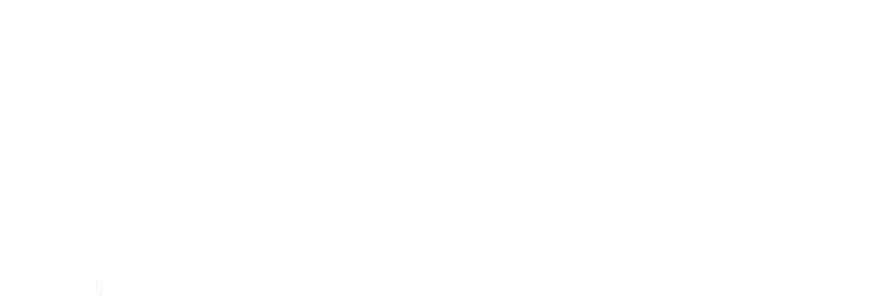 Fight Fitness