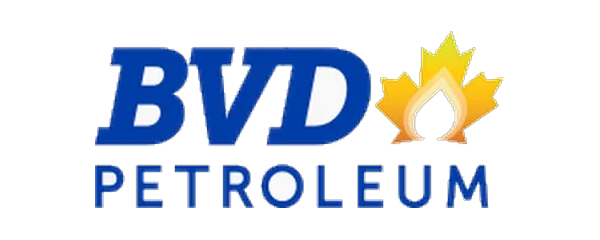 BVD logo