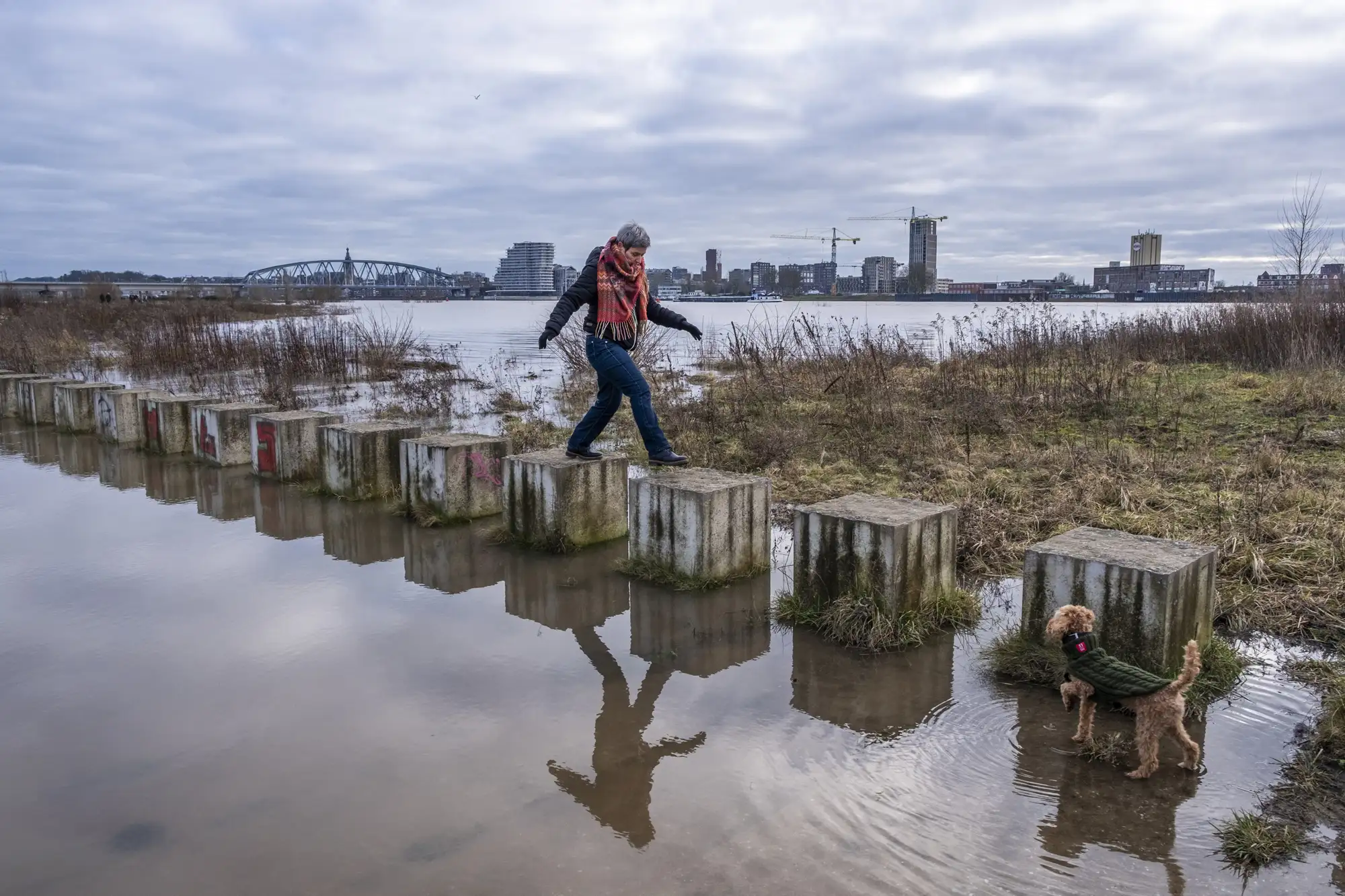 Een vrouw met sjaal balanceert over rij betonnen blokken in een ondergelopen uiterwaard, met haar hond ernaast en de skyline van Nijmegen op de achtergrond onder een bewolkte lucht.