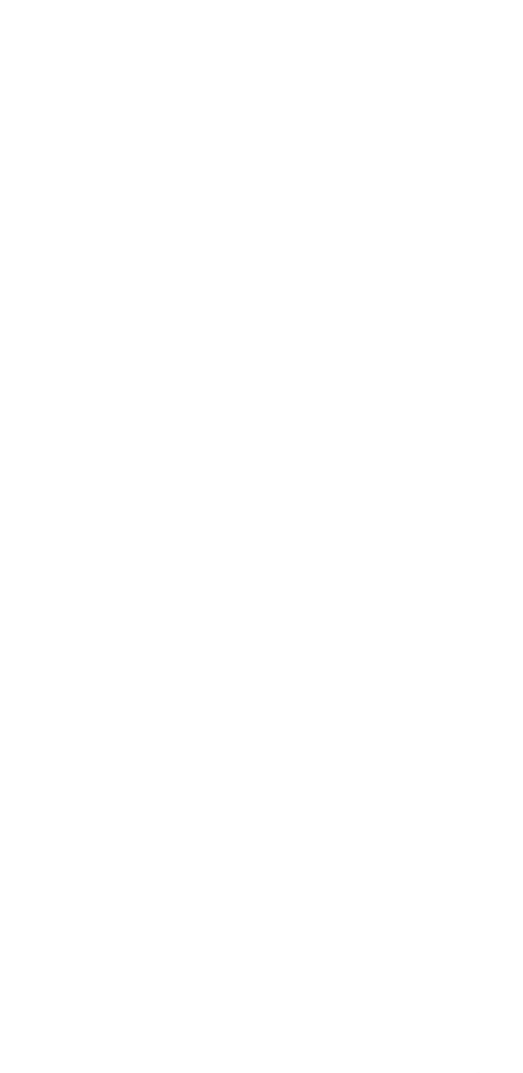 Curved white lines forming a flowing abstract frame on a black background.