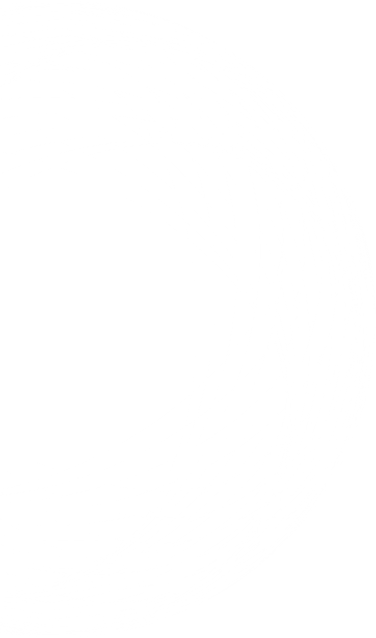 Complex white geometric circular pattern on a black background formed by overlapping curved lines.