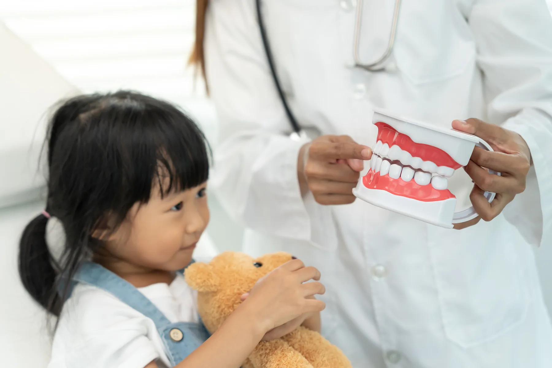 A young girl holding her teddy bear while a dentist shows her a model of the teeth
