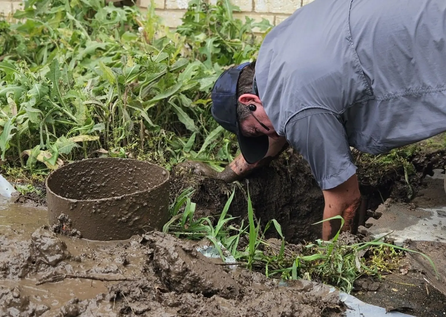 Worker in a cap digging and clearing a muddy sewer or drainage pipe outdoors near plants.