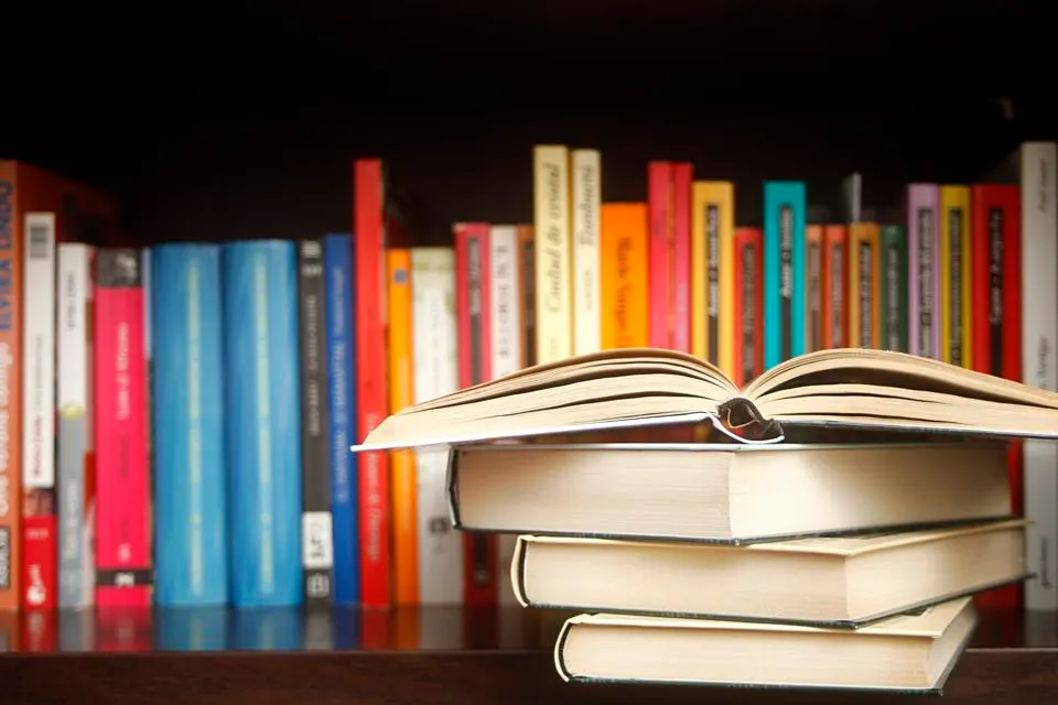 The New Startup Playbook