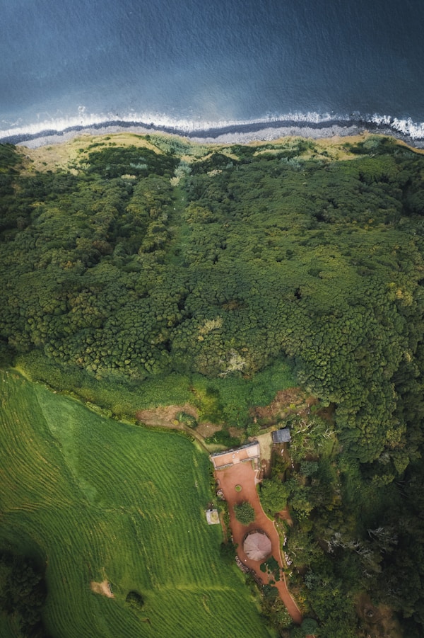 Aerial view shows coast, forest, and green fields.
