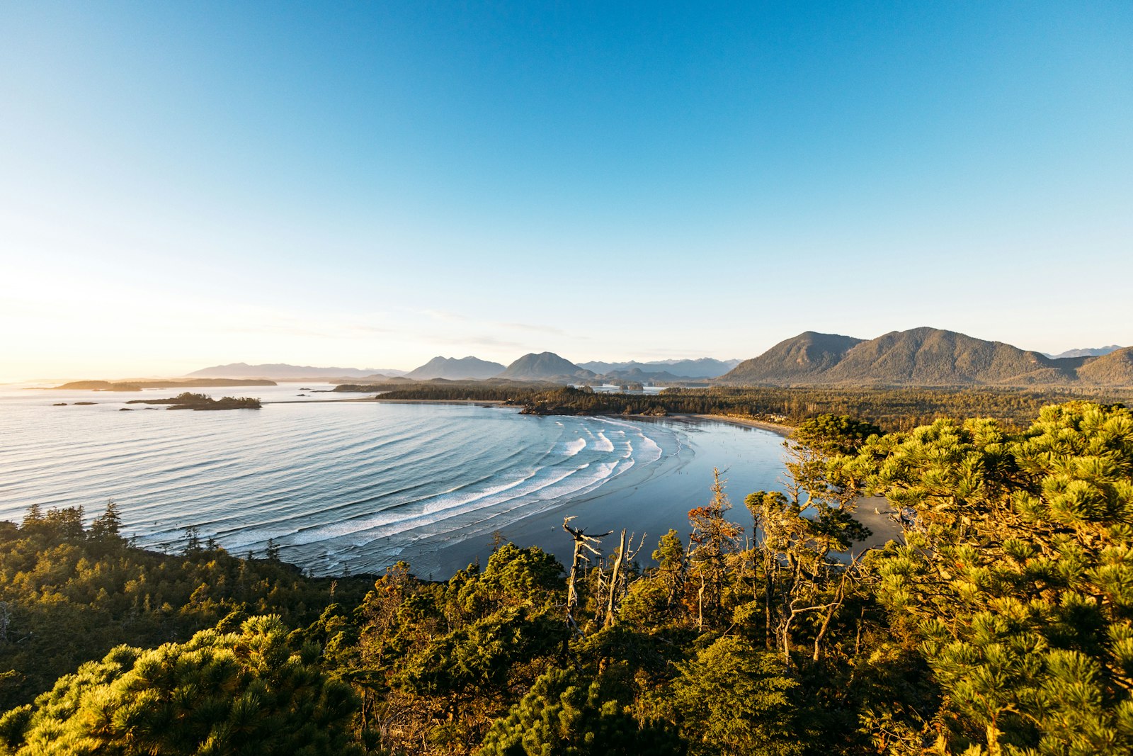 From Coast to CWIM: Cherry's June Outlook | Cherry Monthly May 2026