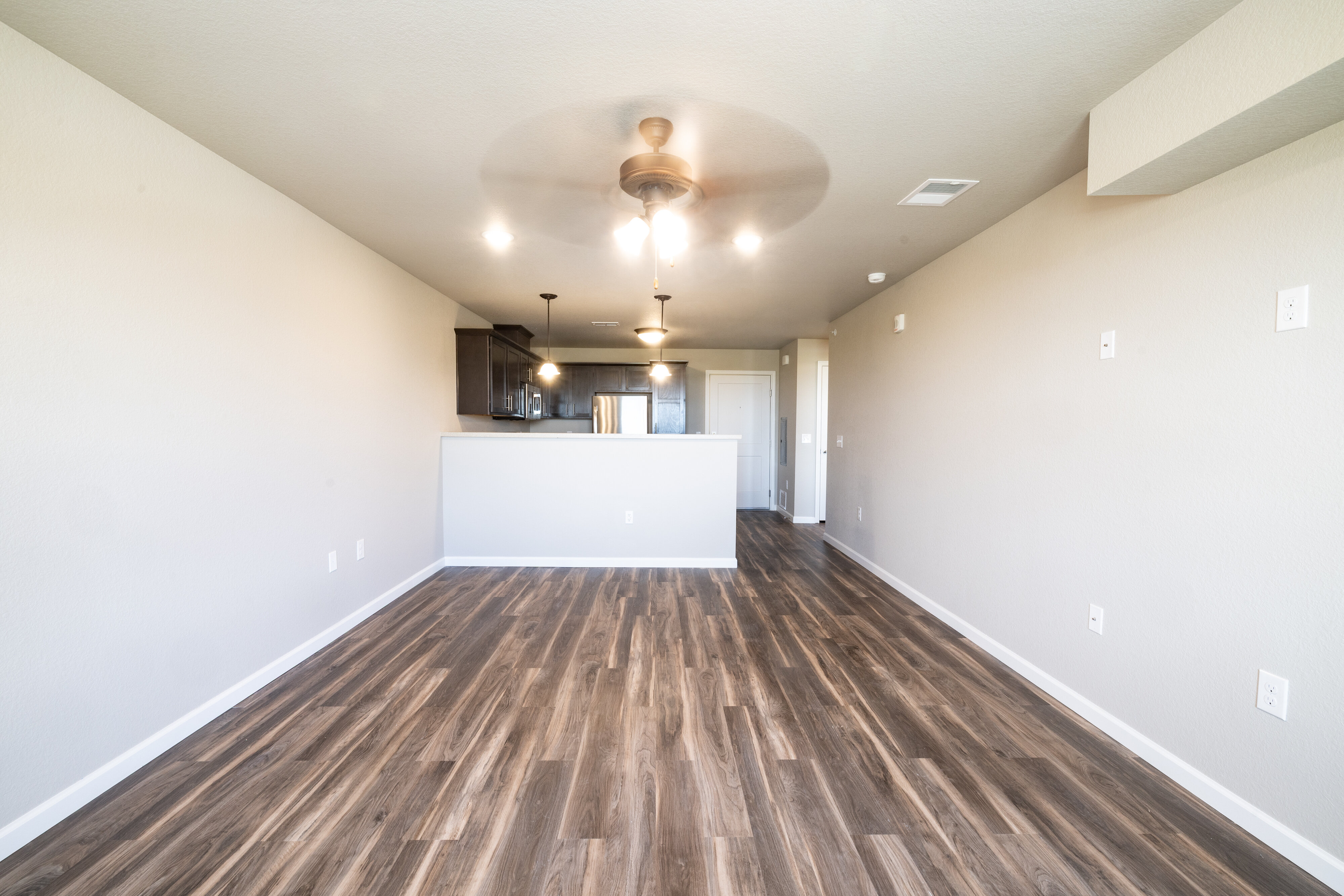 Living room and kitchen area