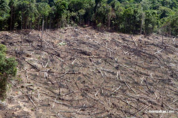 Clear-cutting in the Amazon rainforest as viewed from above by airplane