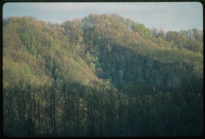 Coves on Rock Creek Hollow in early spring.  Tending the Commons photograph by Terry Eiler, courtesy American Folklife Center, Library of Congress