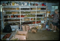 Sadie Miller pantry, Drews Creek