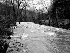 Coal River at high water.