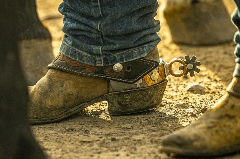 Boot and spur