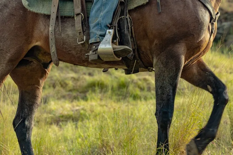 Driving the herd uphill