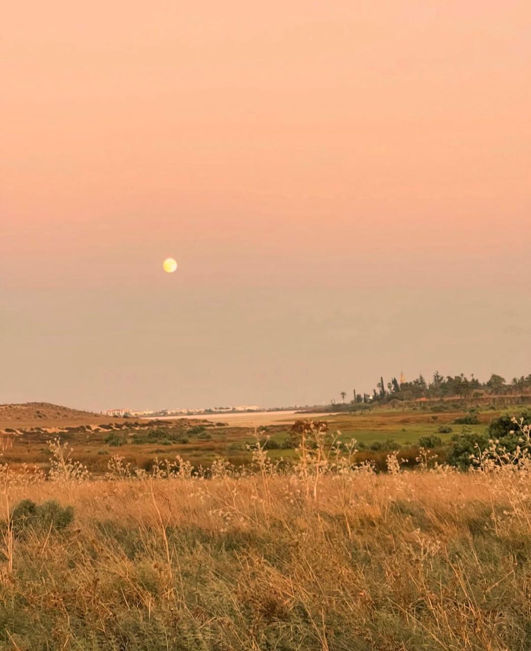 Fields in front of Hala Sultan Tekke & Mosque
