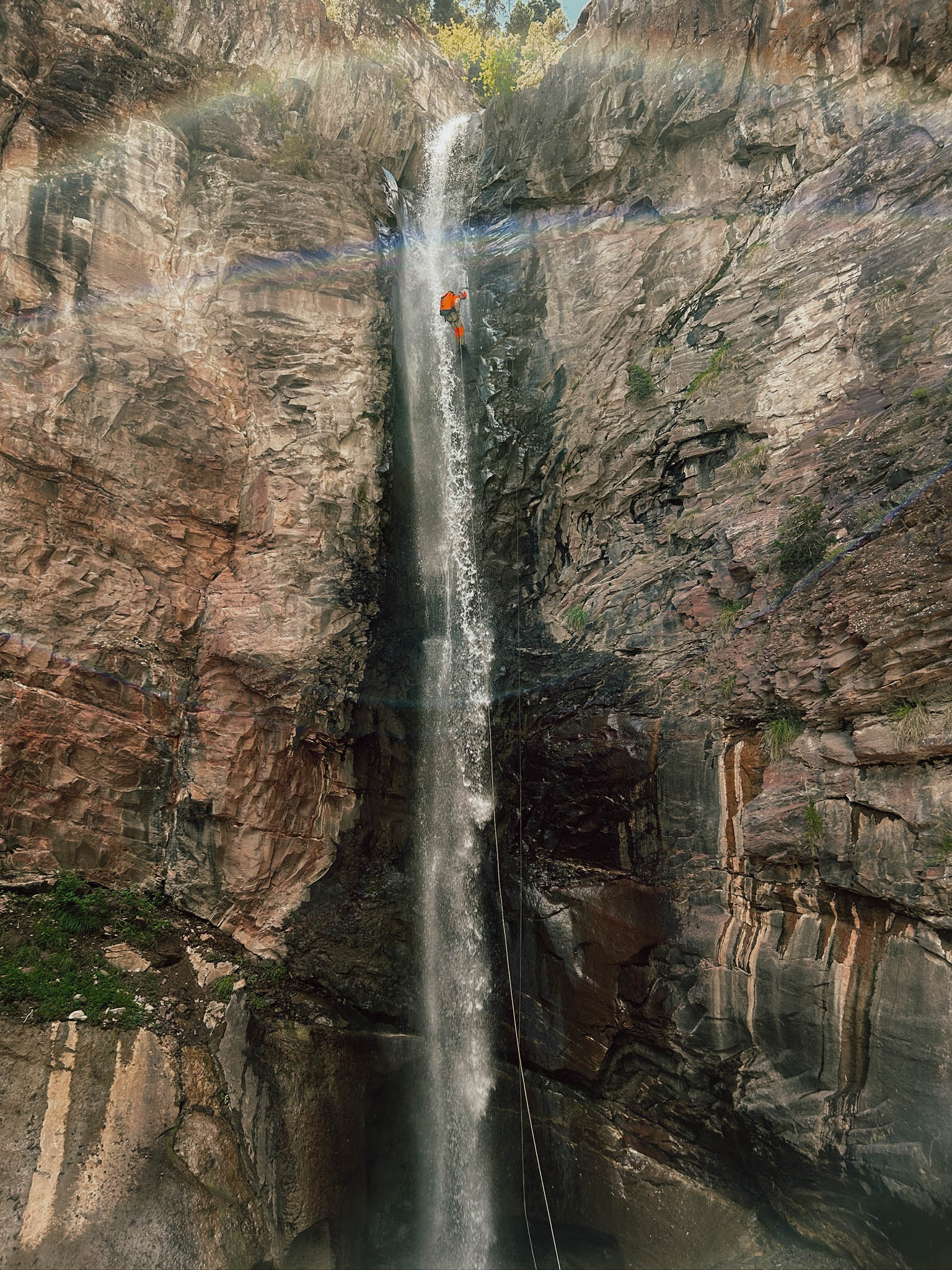 image of community conservation efforts