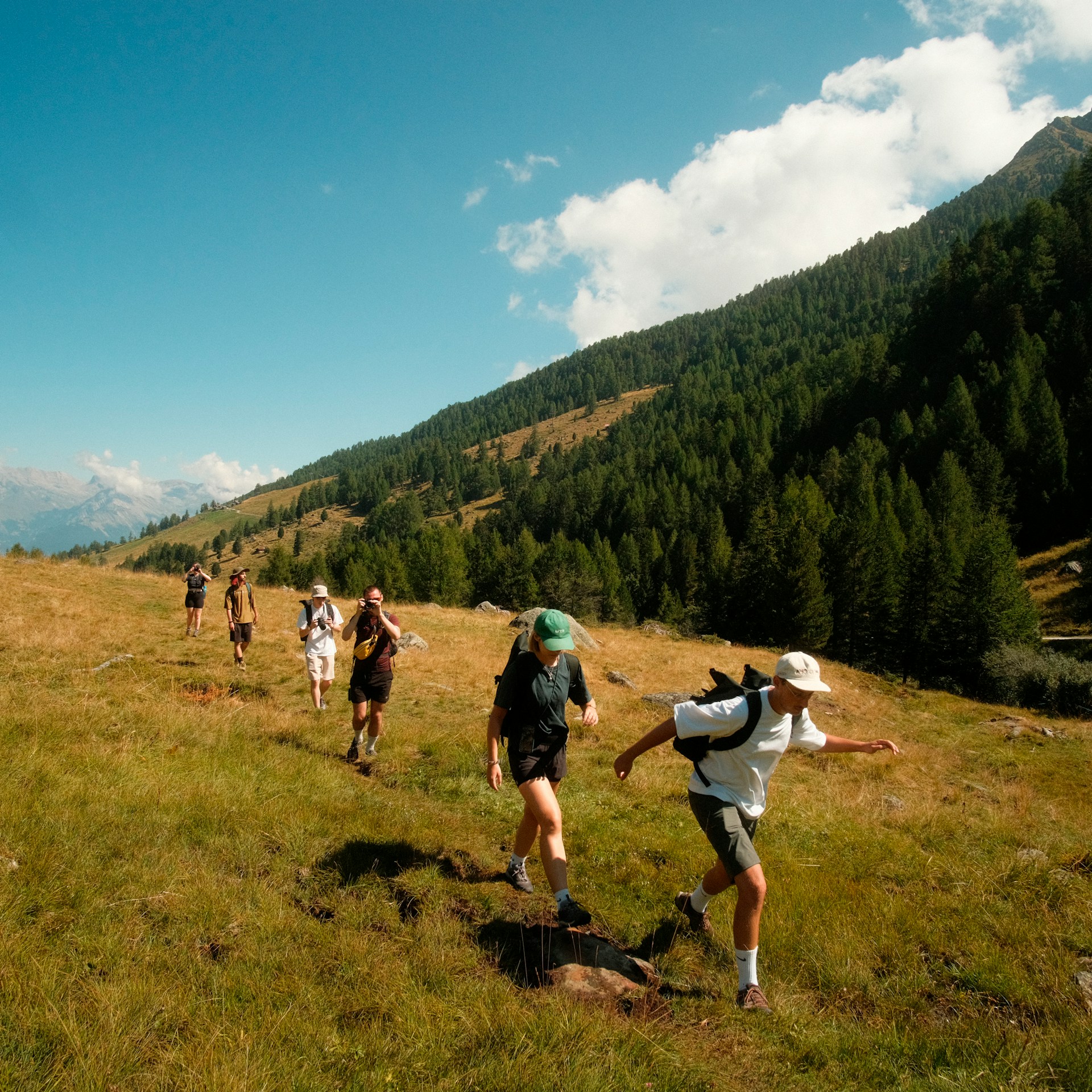 image of community conservation efforts