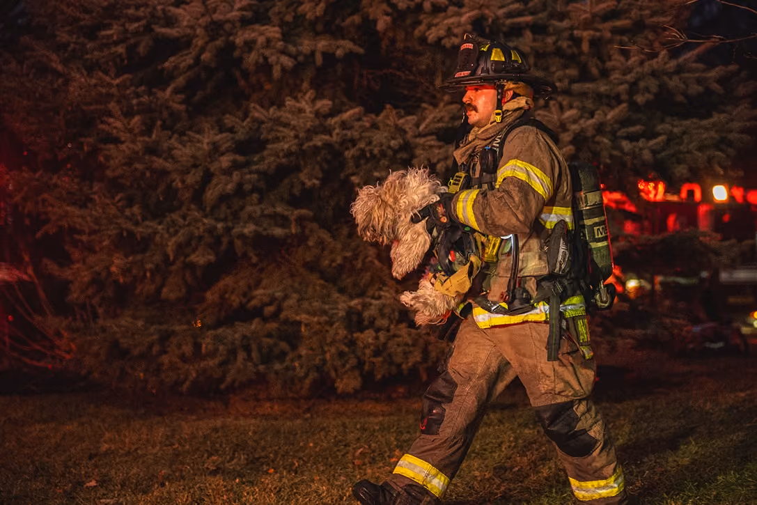 Firefighter in full gear carrying a small dog at night with emergency lights in background.