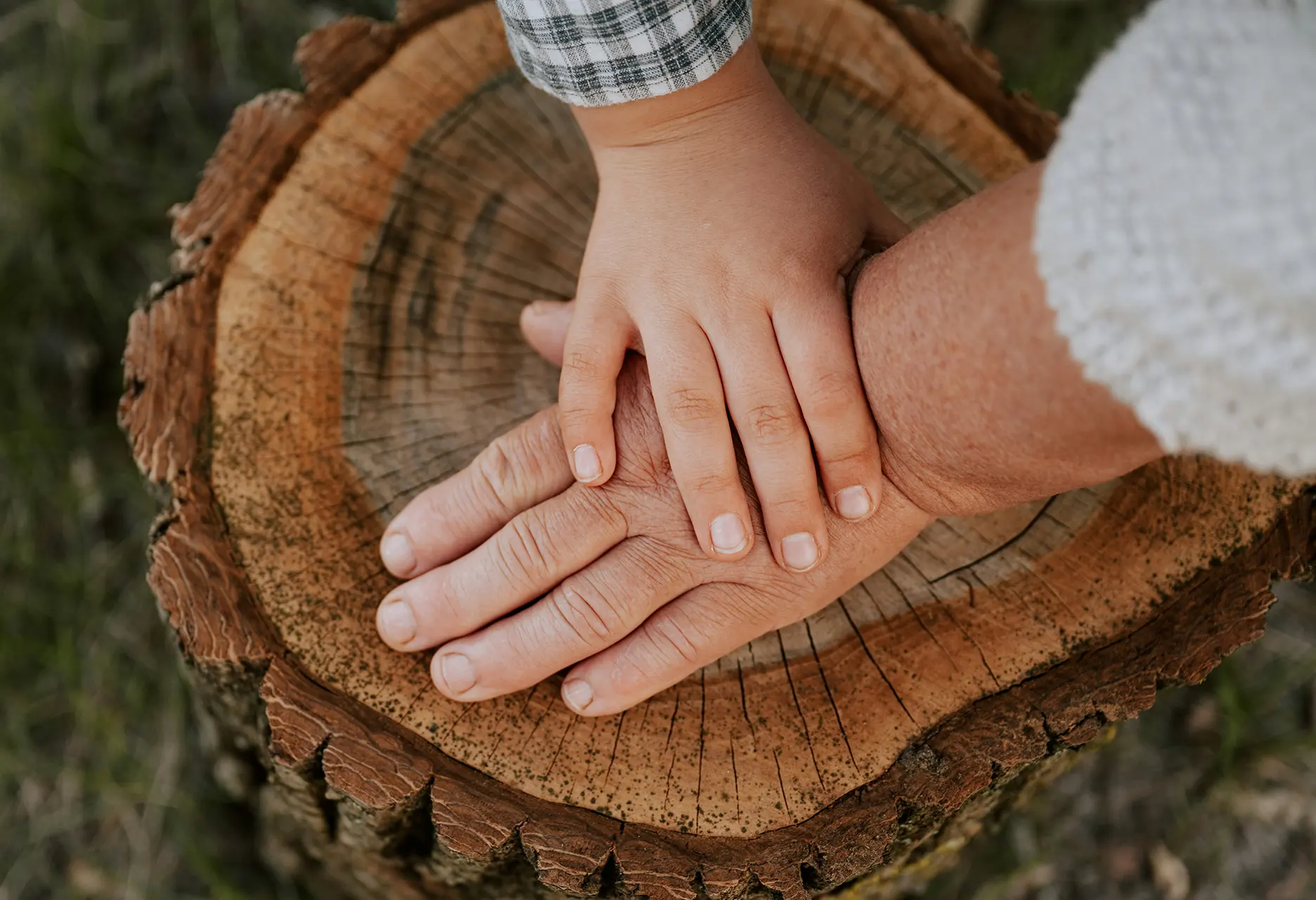 A child and grandparent's hand embracing.