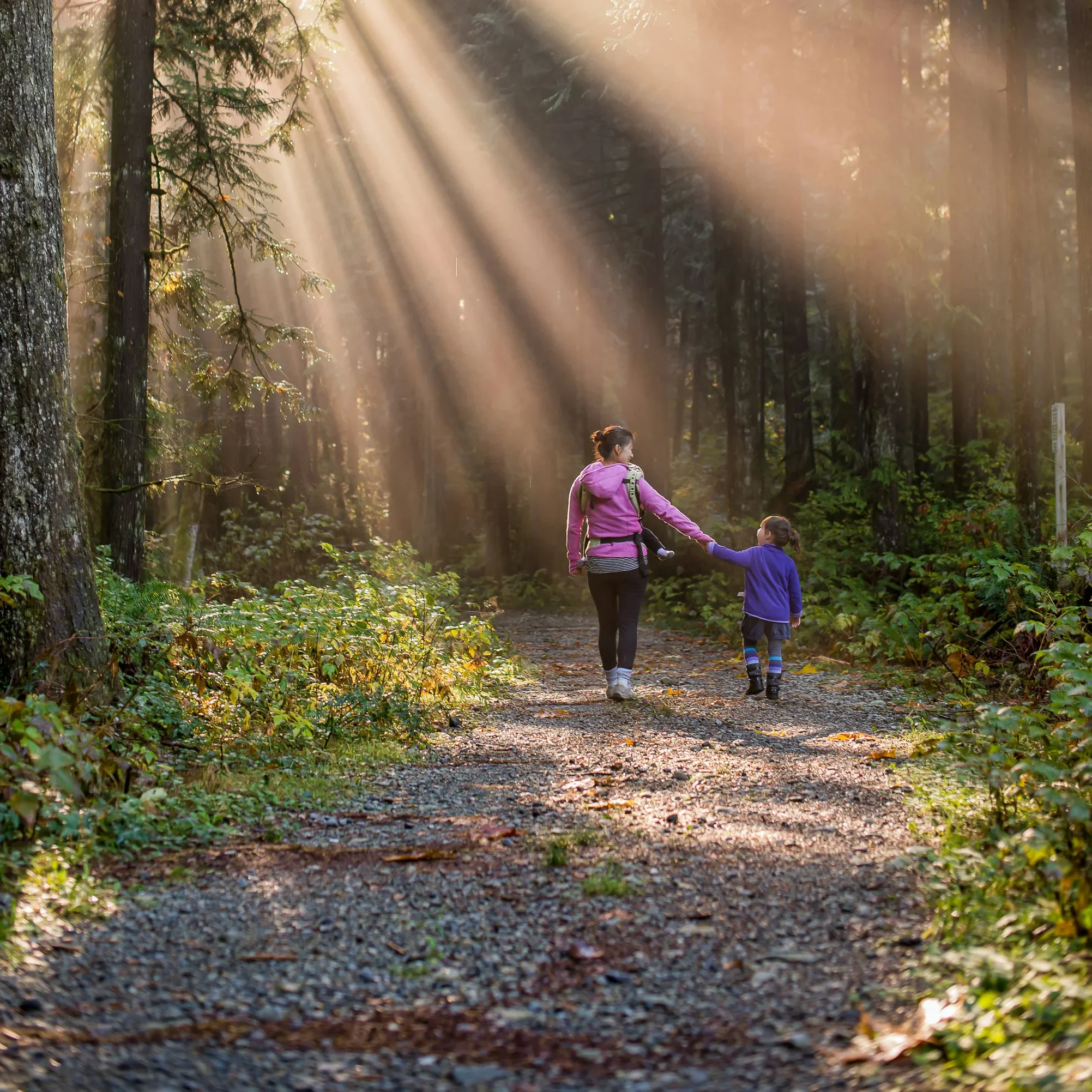 Woman walking down a forested path with her children.