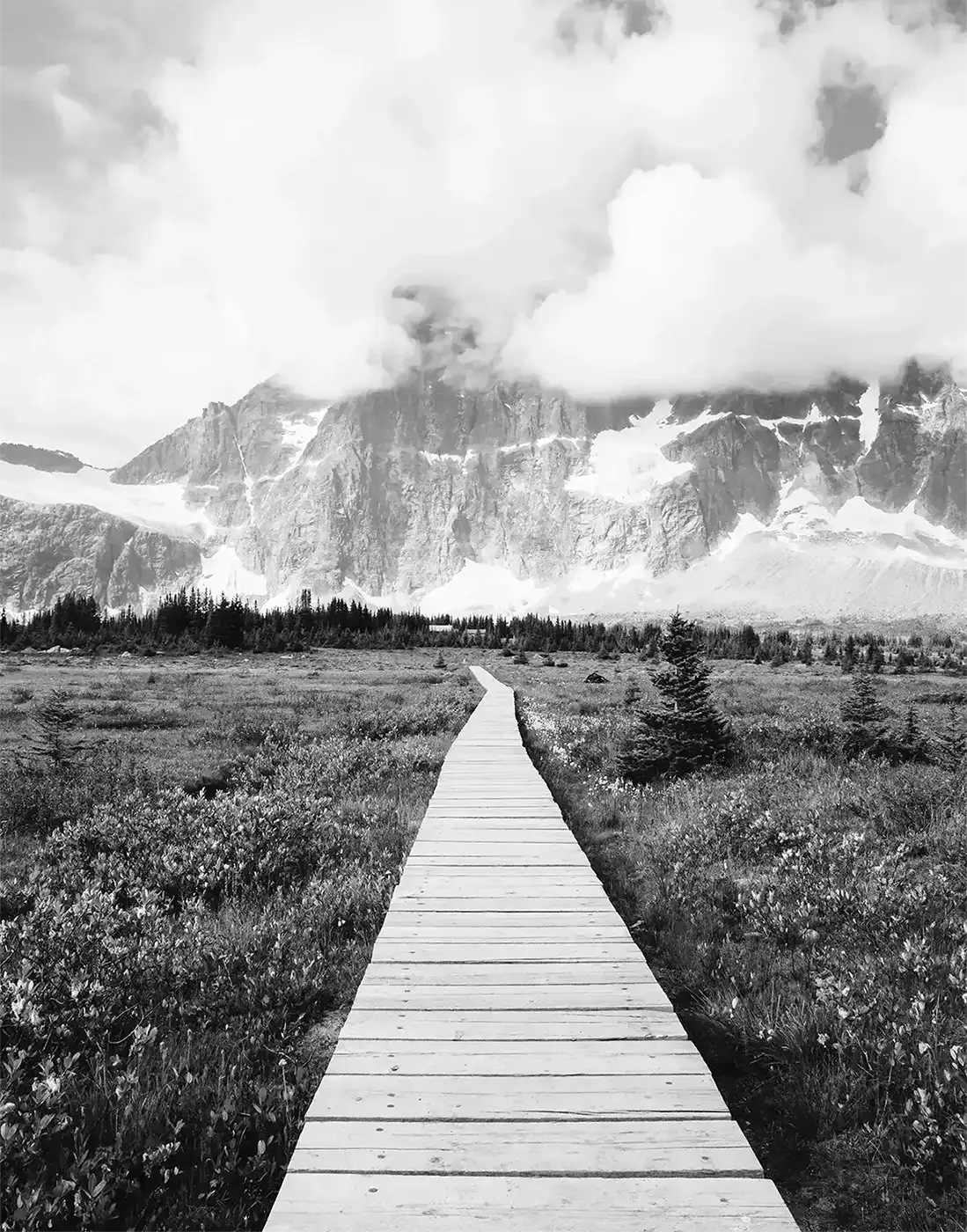 A wooden boardwalk path in the mountains.