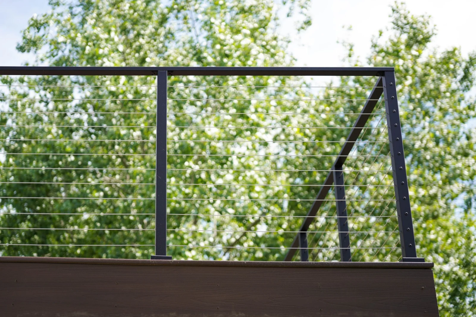 Railing seen from below, cables and top rail silhouetted against leafy branches