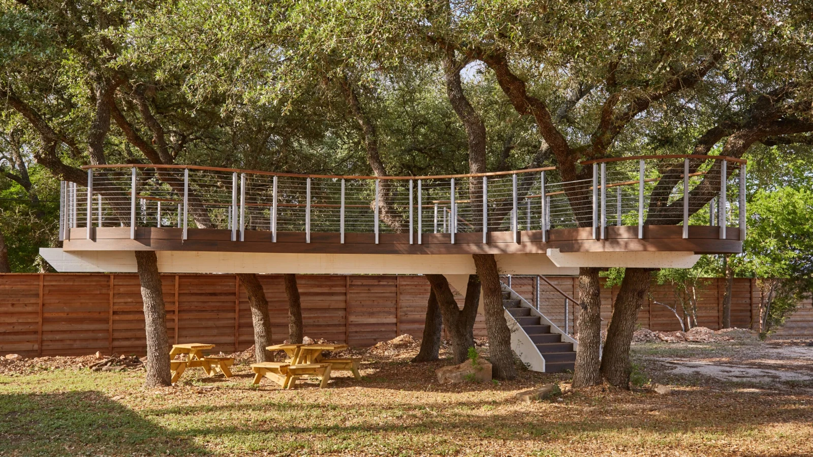 Curved elevated deck threading between broad tree trunks, wood top rail on slim posts