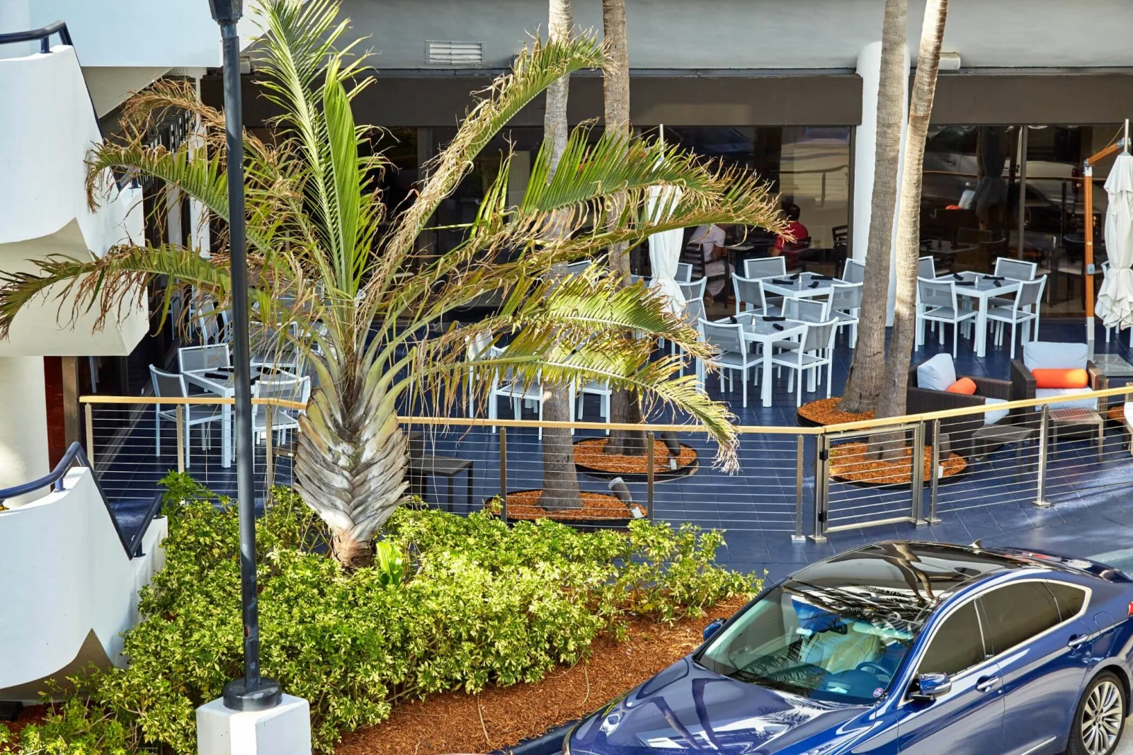 Railing separating an outdoor dining terrace from a palm-lined drive