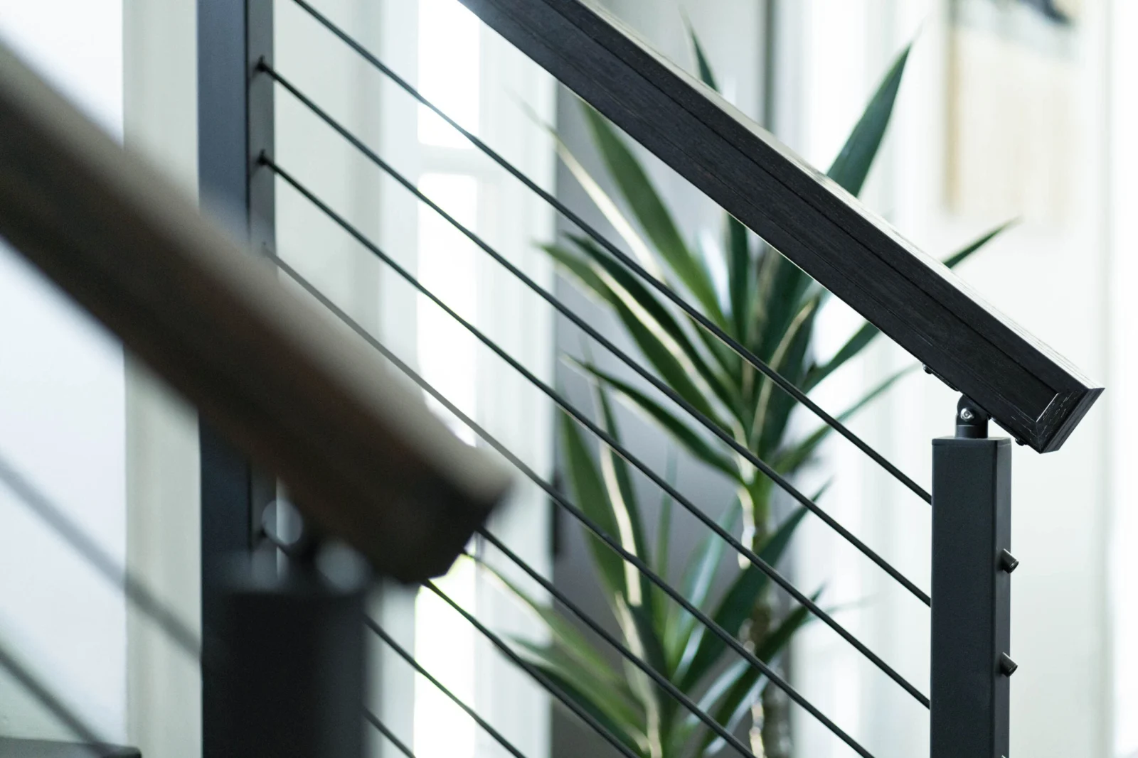 Angled black top rail and rounded wood handrail crossing in front of a houseplant