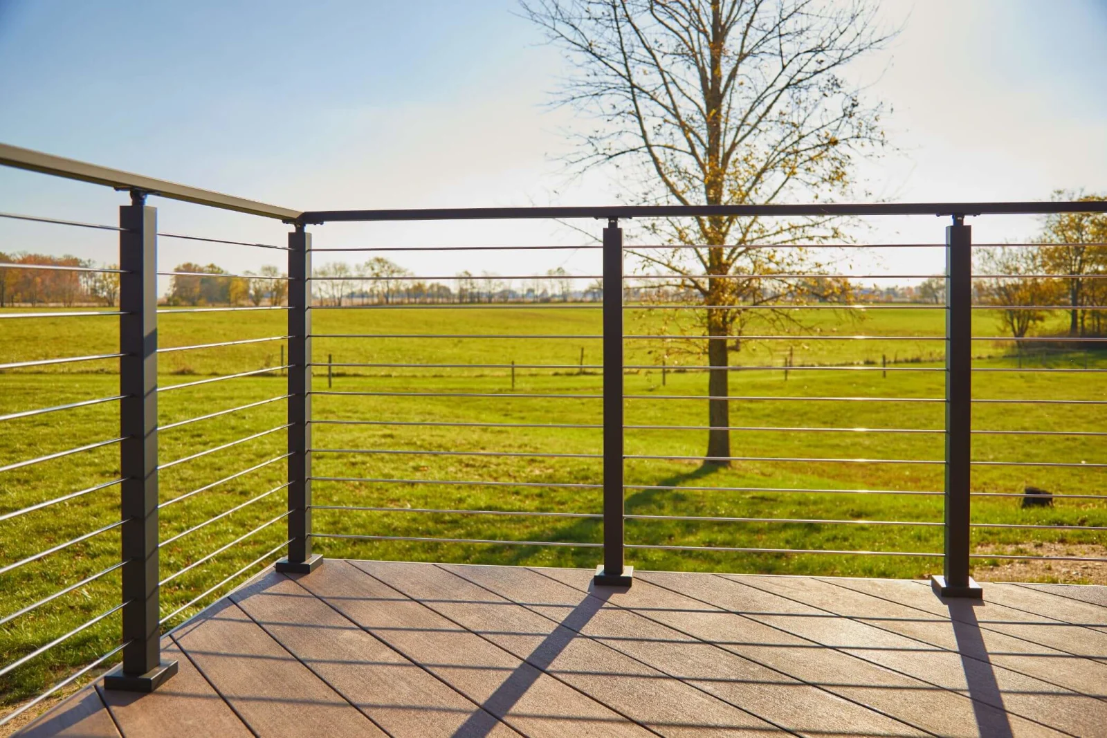 Dark rod railing at a deck corner, open pasture and a bare tree in autumn light