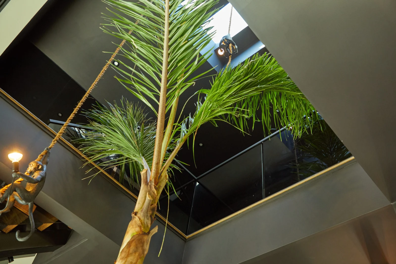 Looking up past a palm to the glass-railed opening and dark ceiling