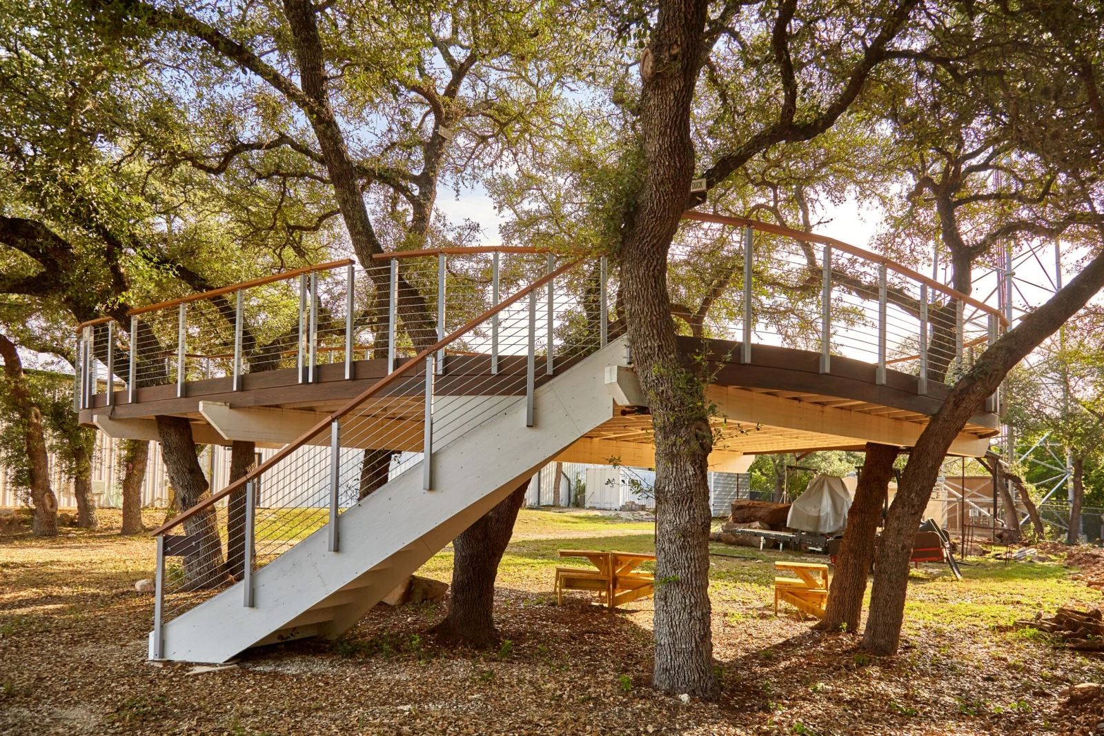Elevated deck wrapping around tree trunks with a wide stair descending to the yard
