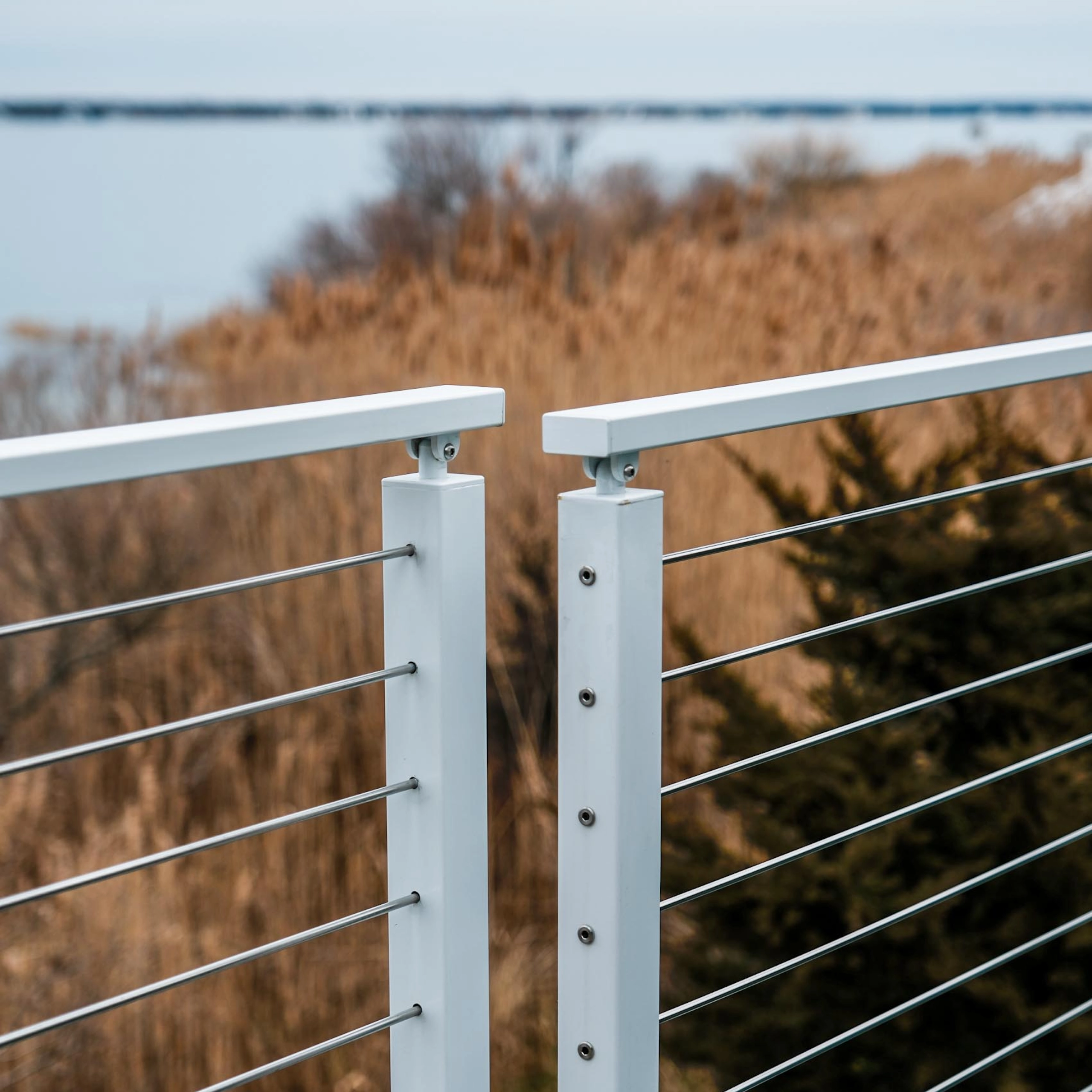 White surface-mounted posts carry rod infill above a stretch of dune grass