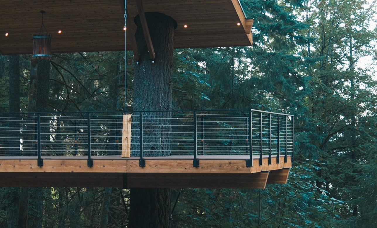 Cable railing encircles an elevated wood deck built among tall pines
