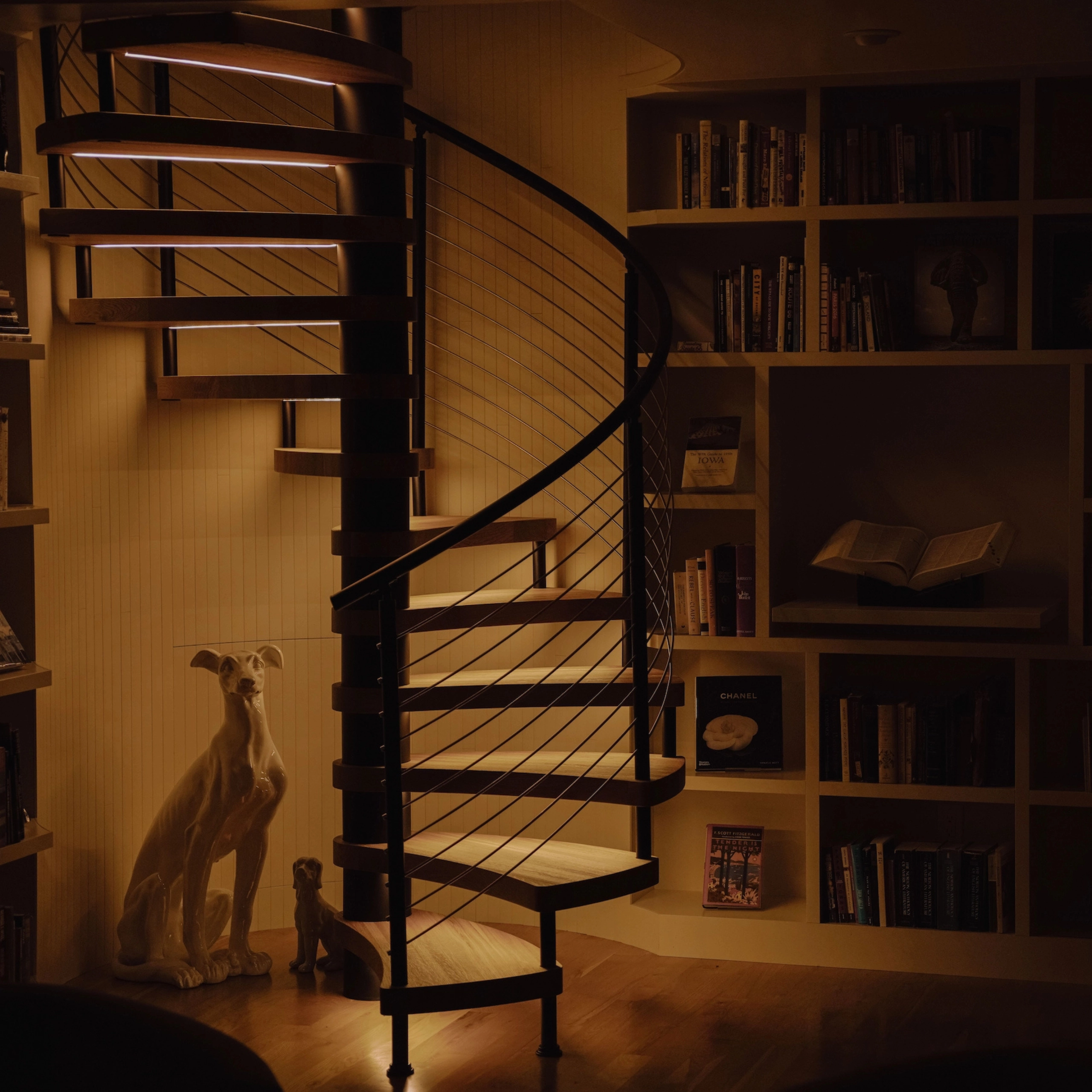 Warm light picks out a spiral stair against a wall of books at night