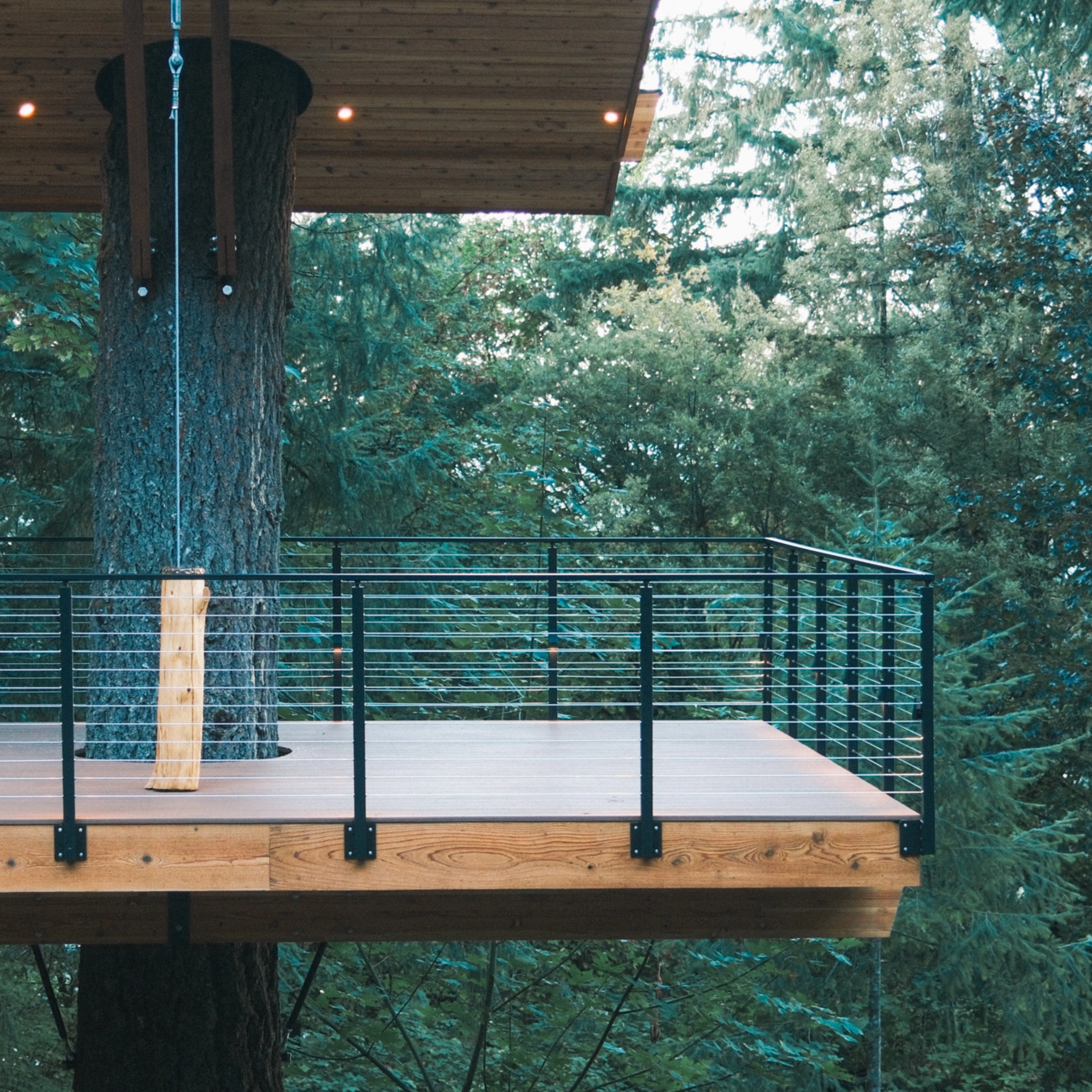 Black railing rings a small deck perched high among the evergreens