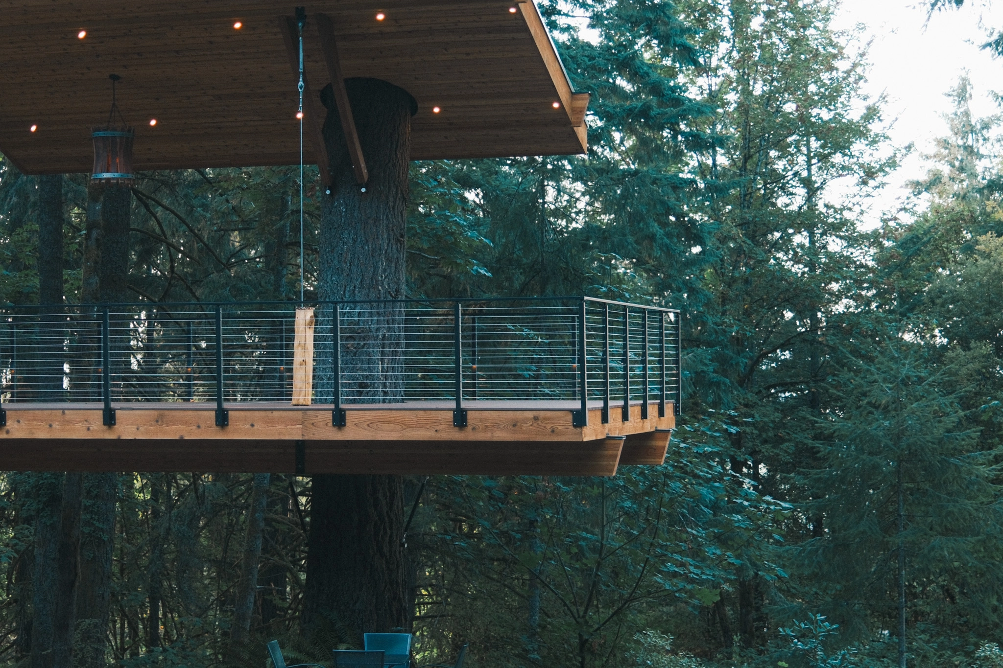 Cable railing rims a cantilevered deck floating among tall evergreens