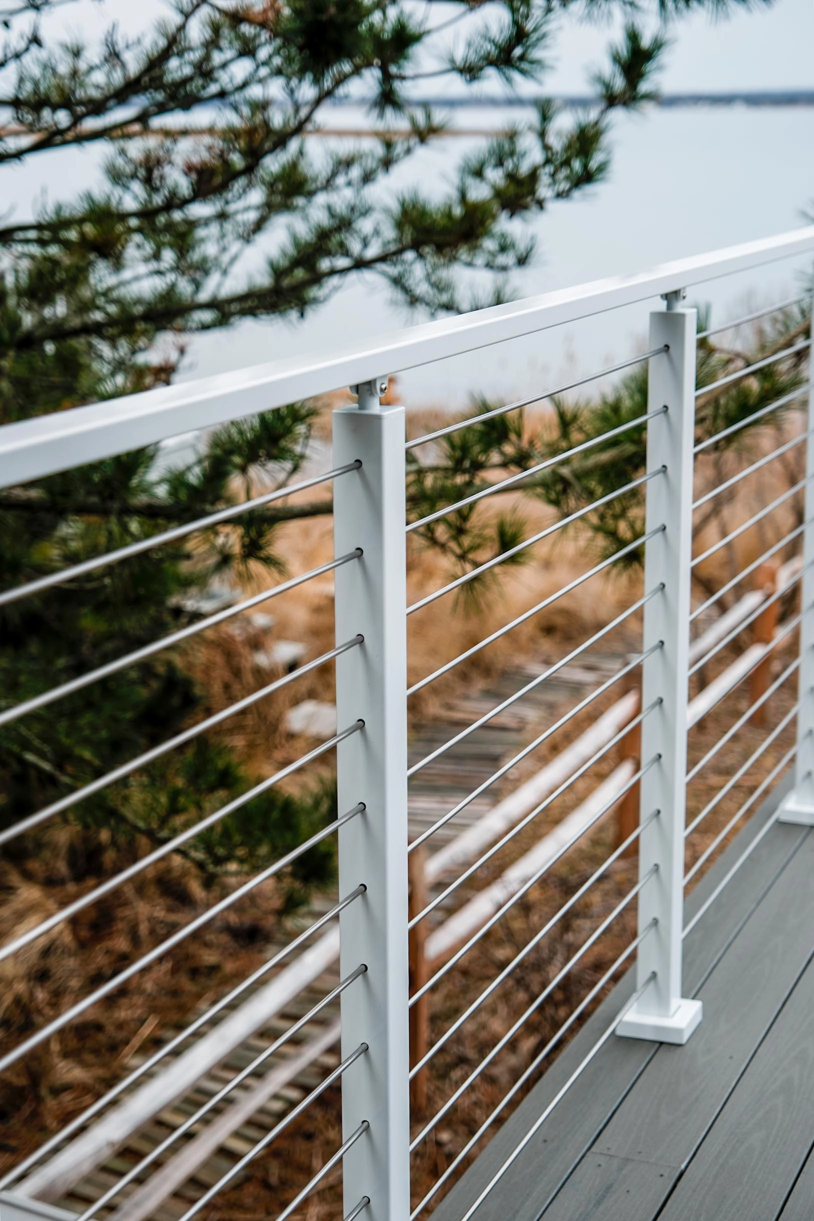 White rod railing running along gray decking under overhanging evergreen branches