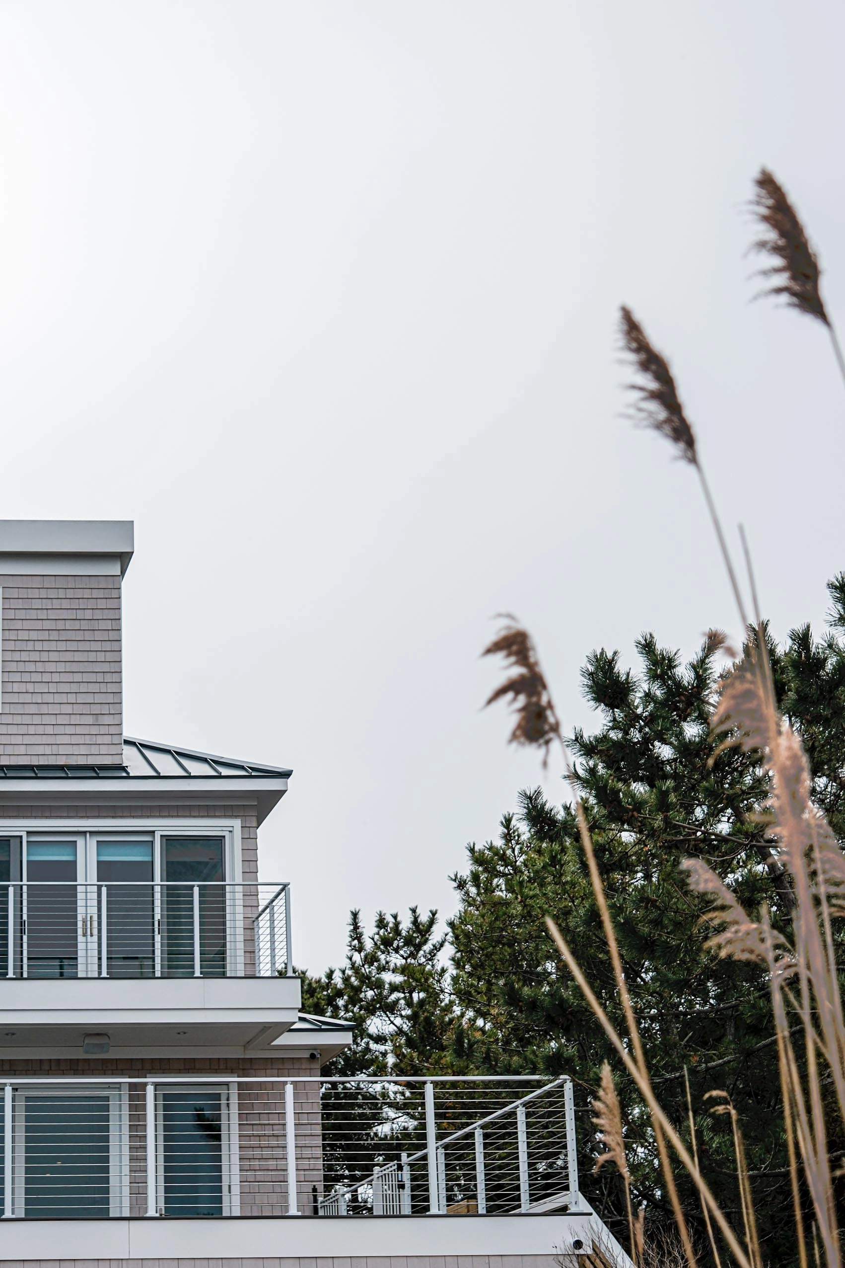 Upper balcony railing seen from below past windblown reeds and evergreen boughs