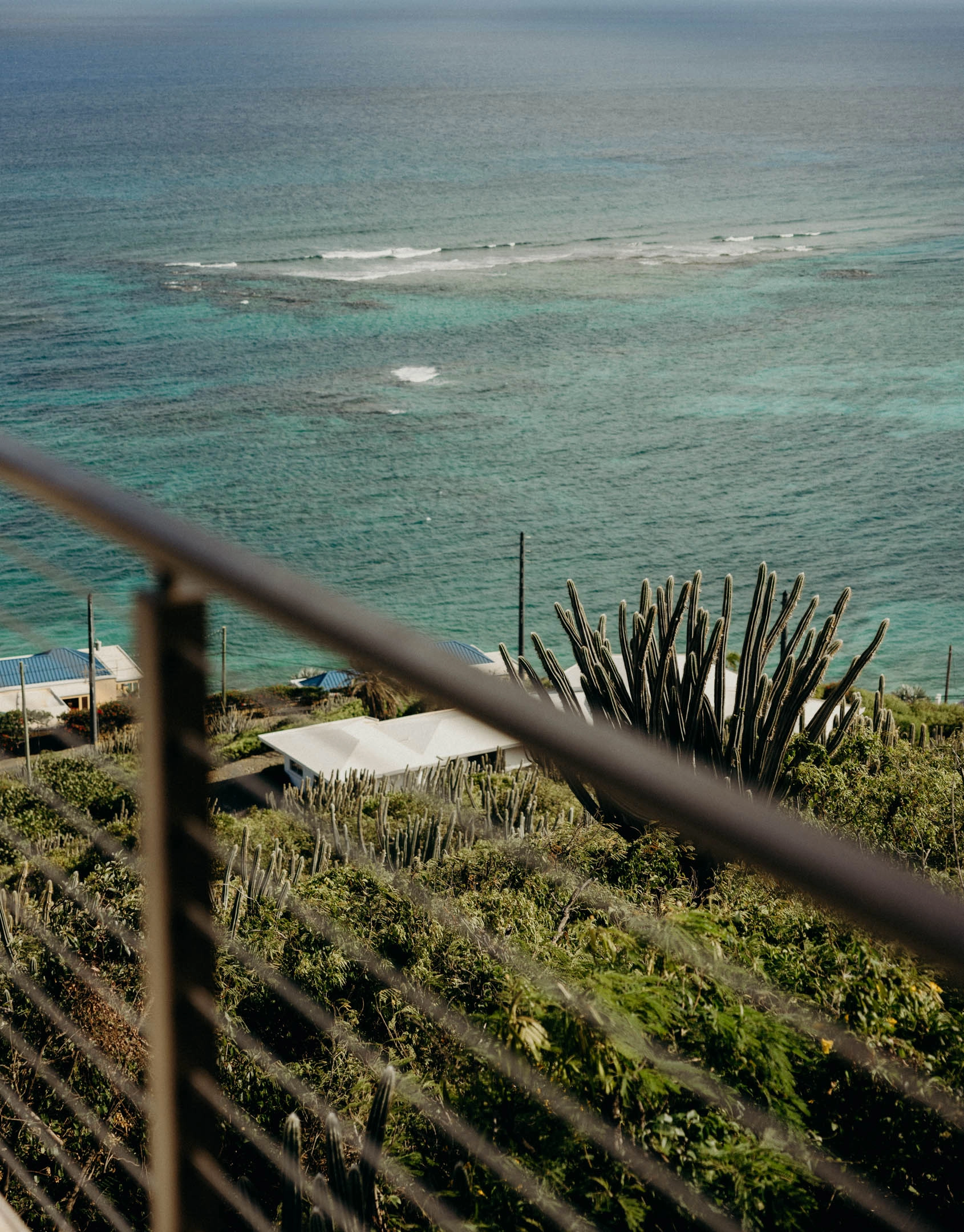 Looking through angled rods down to cactus slopes and turquoise reef
