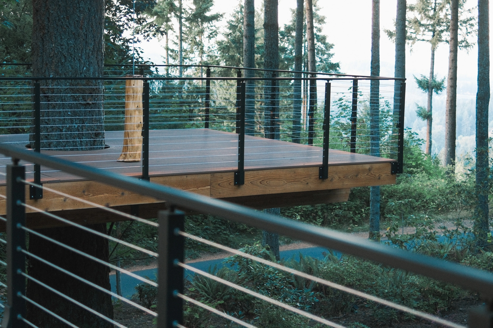 Cable railing around a wood platform cantilevered into a forest with distant ridges