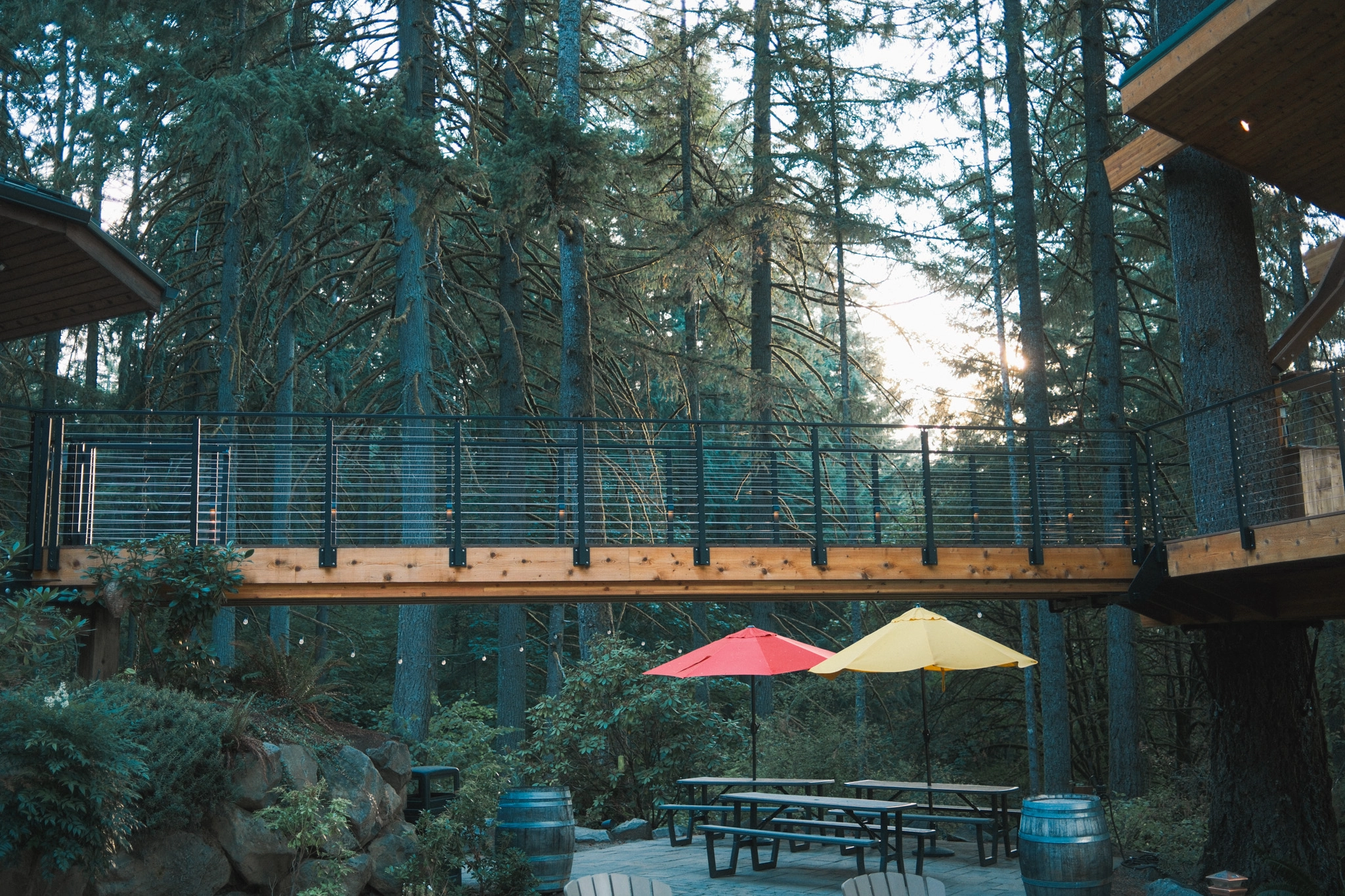 Elevated wooden walkway with black cable railing bridging two structures above picnic tables